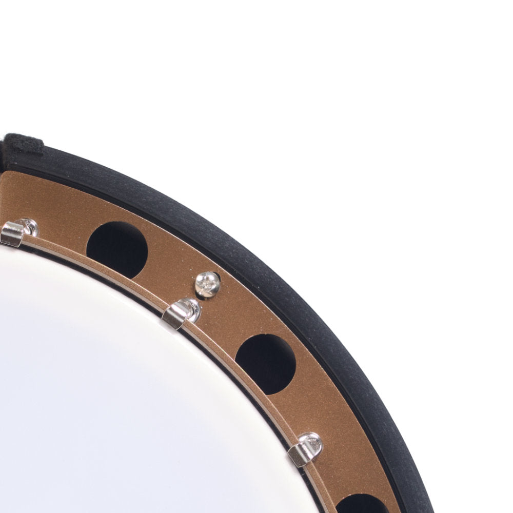 Deering Goodtime Two 17-Fret Tenor Banjo - flange