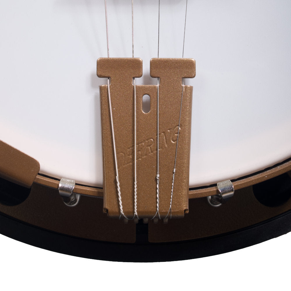 Deering Goodtime Two 17-Fret Tenor Banjo - tailpiece straight on