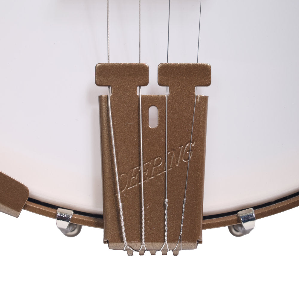 Goodtime 19-Fret Tenor Banjo