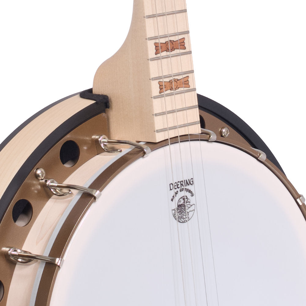 Goodtime Two 19-Fret Tenor Banjo neck and pot left side