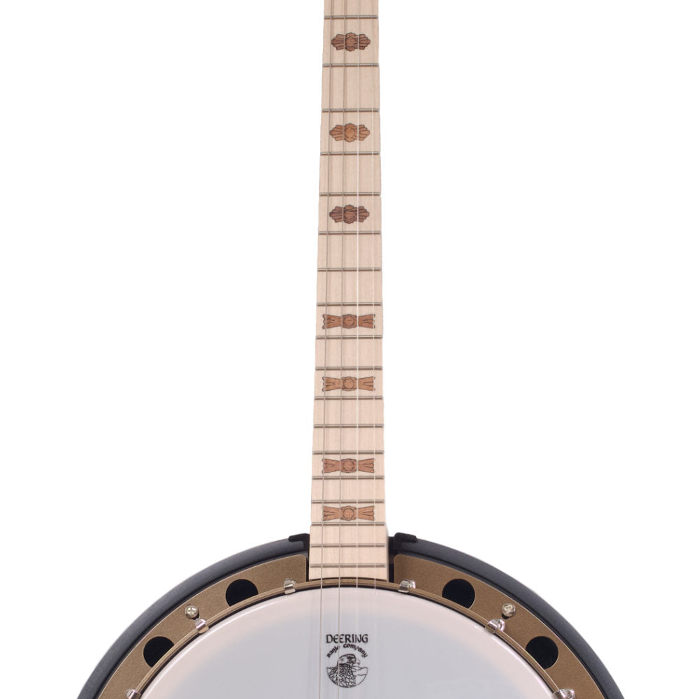 Goodtime Two 19-Fret Tenor Banjo neck and pot straight