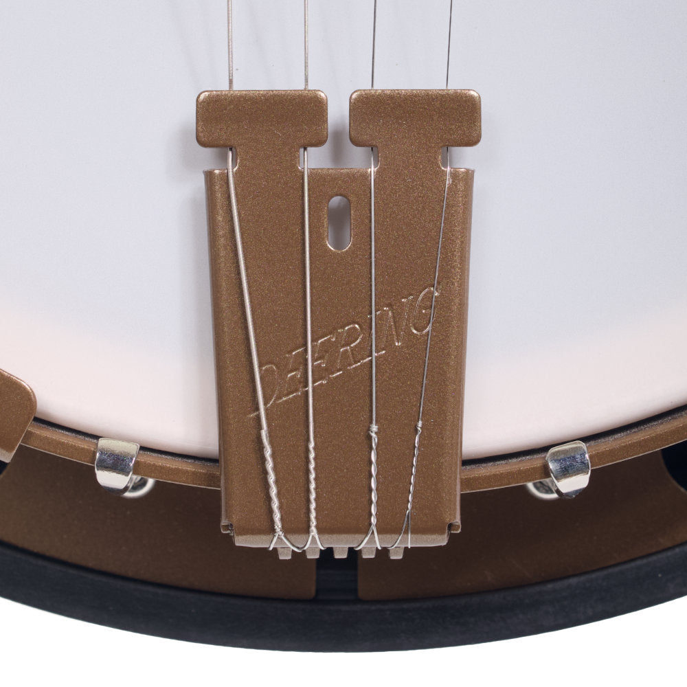 Goodtime Two 19-Fret Tenor Banjo tailpiece straight on