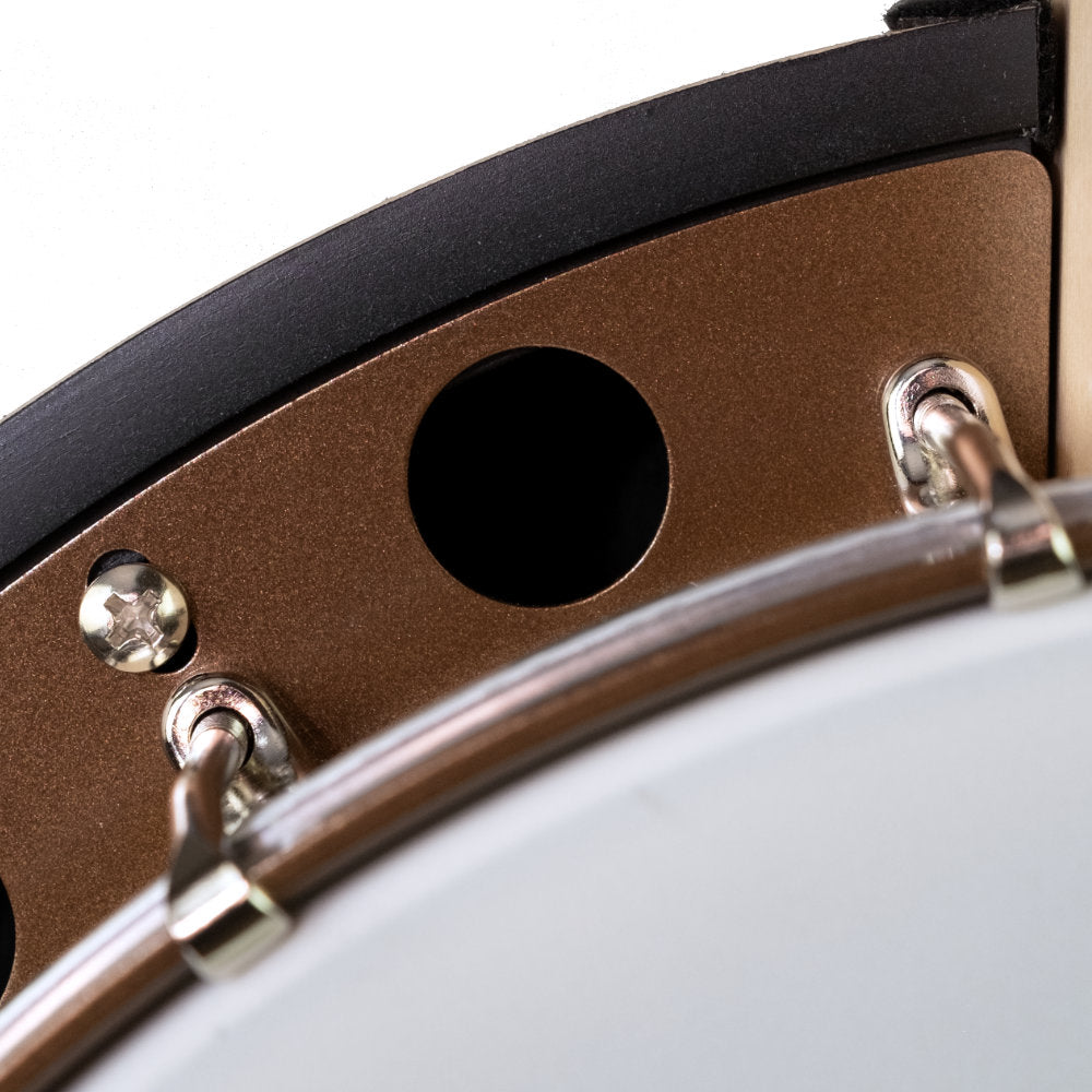 Goodtime Special 5-String Banjo - flange close up