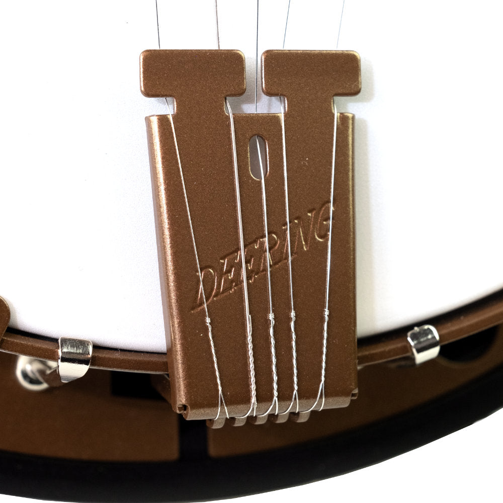 Goodtime Special 5-String Banjo - tailpiece - 2