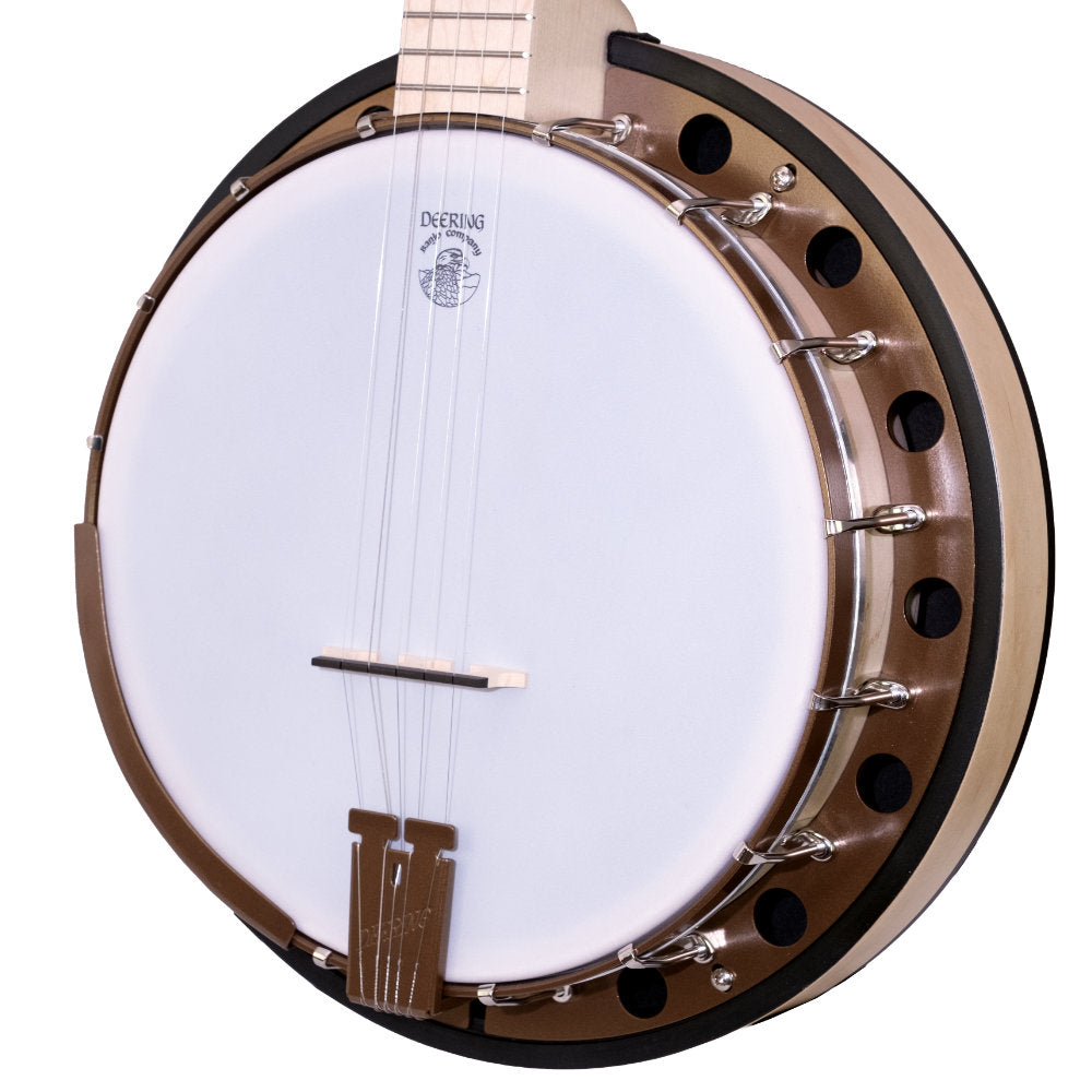 Goodtime Two 5-String Banjo - neck and pot angle 2