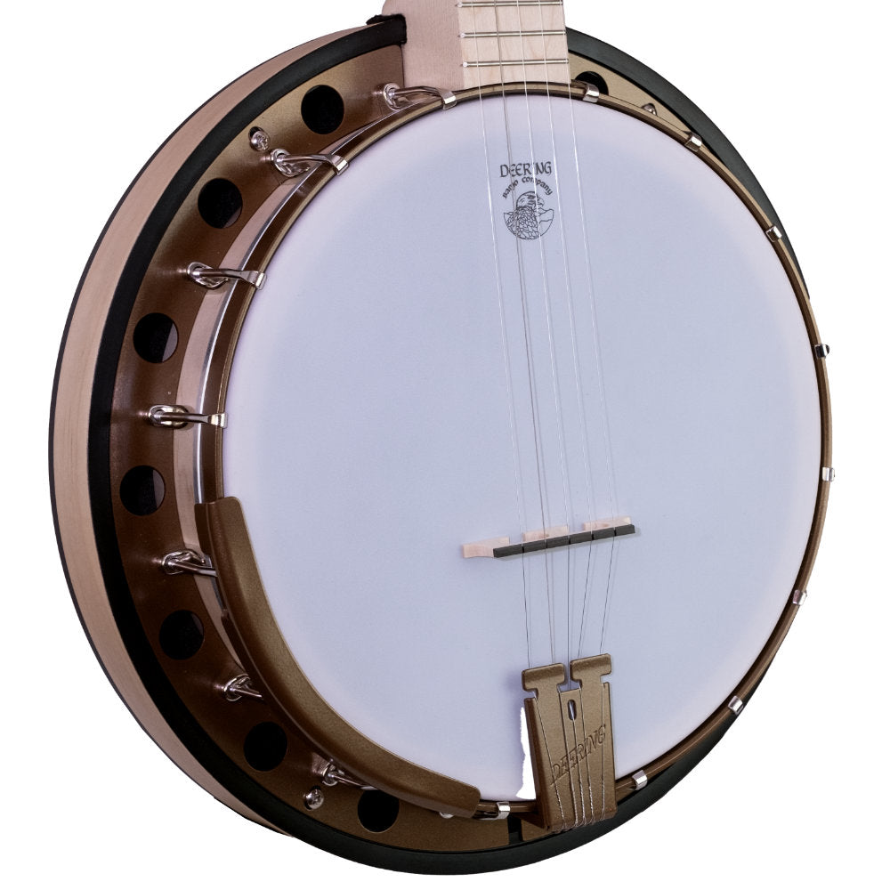 Goodtime Two 5-String Banjo - neck and pot angle 3