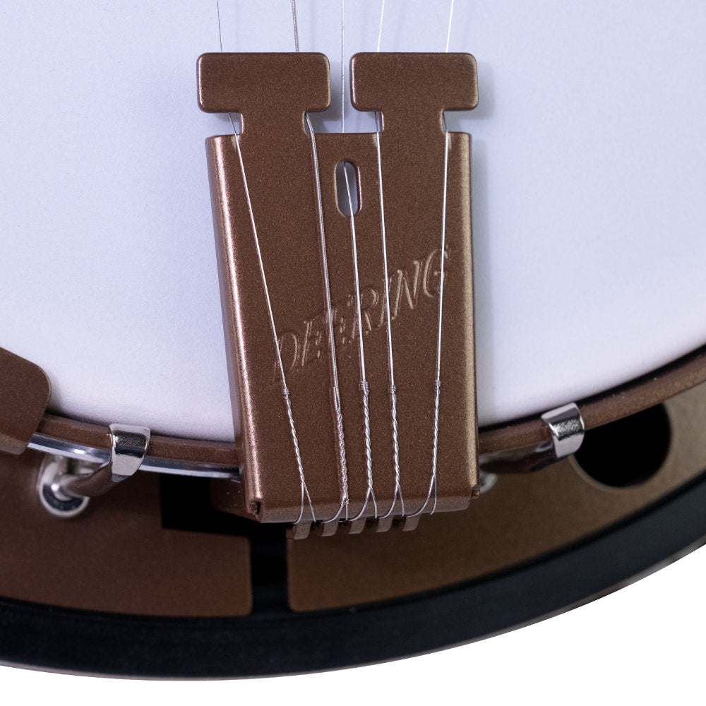 Goodtime Two 5-String Banjo - tailpiece